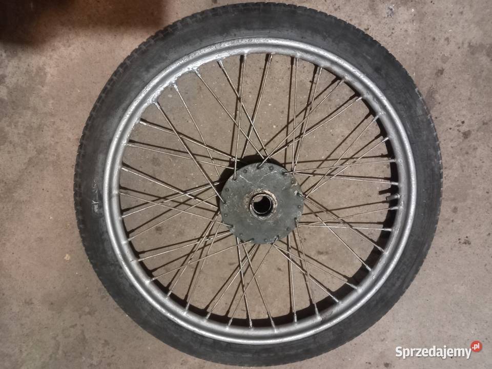 Kolo zak ryś Sokołów Podlaski