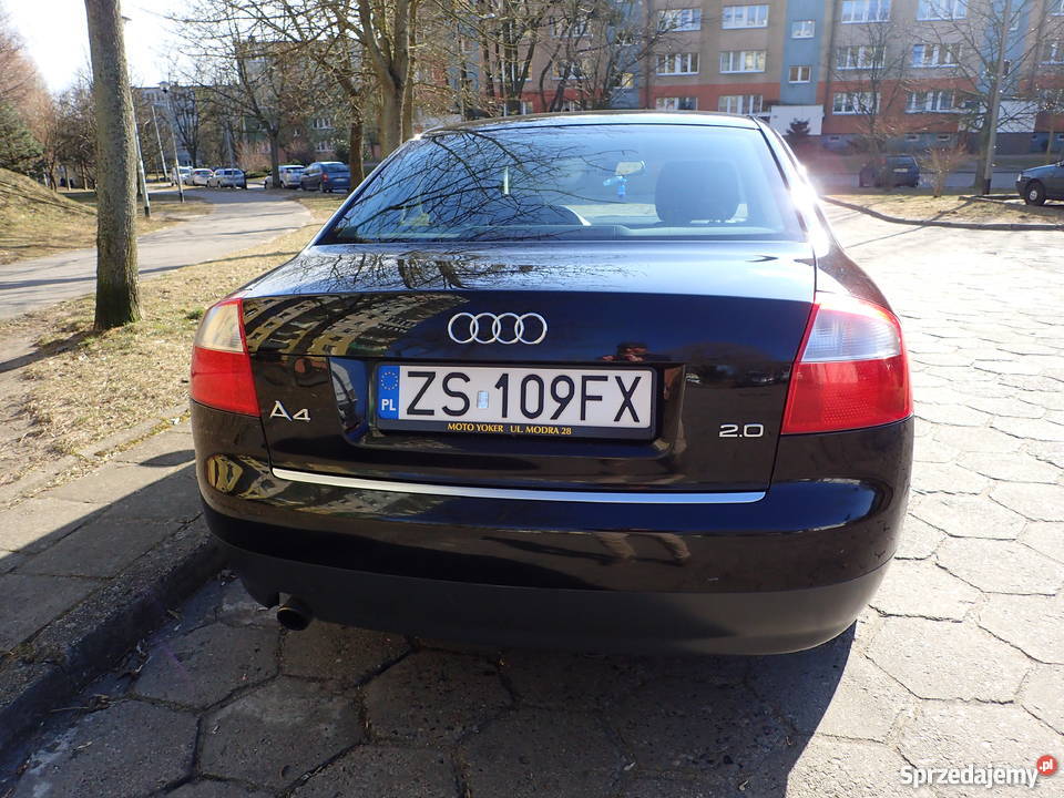 Używane Audi A4 20 benzyna Szczecin