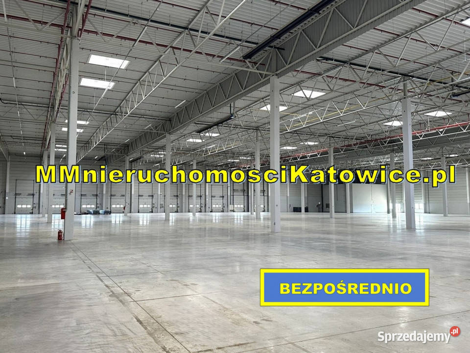Hale do wynajęcia Ruda Śląska A4 plac biura