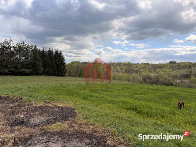 Działka 600m2 Zagórze 23.5m Sprzedaż