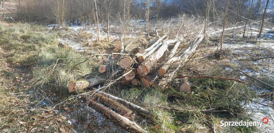 Wciągarka linowa leśna wom szwedzka ursus zetor Lubawa