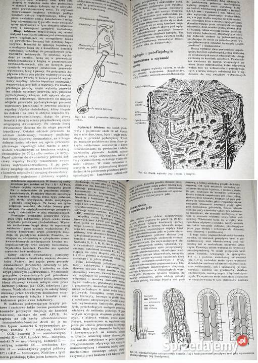 Nauka o chorobach wewnętrznych Tom 6 Witold Rok wydania 1989 Książki i Podręczniki Chełm sprzedam
