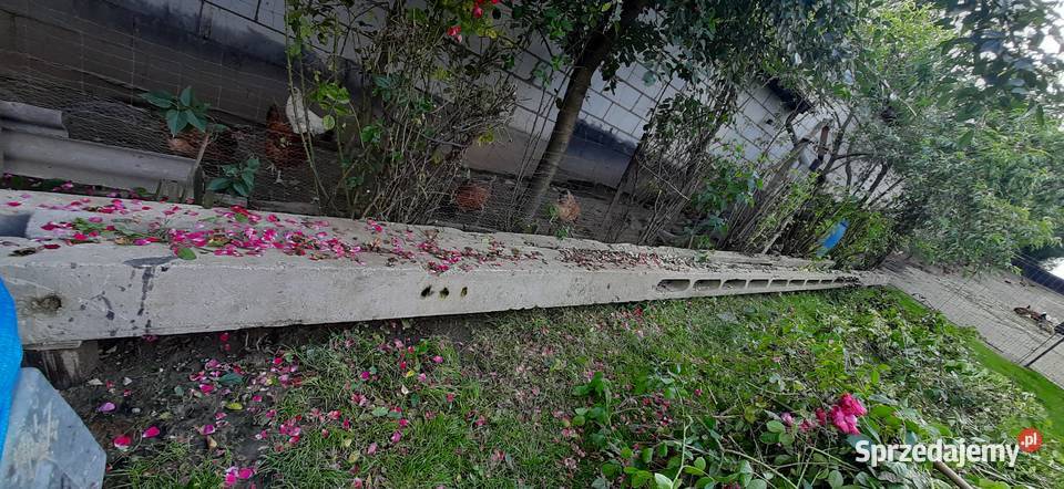 Słupy betonowe Tomaszów Lubelski