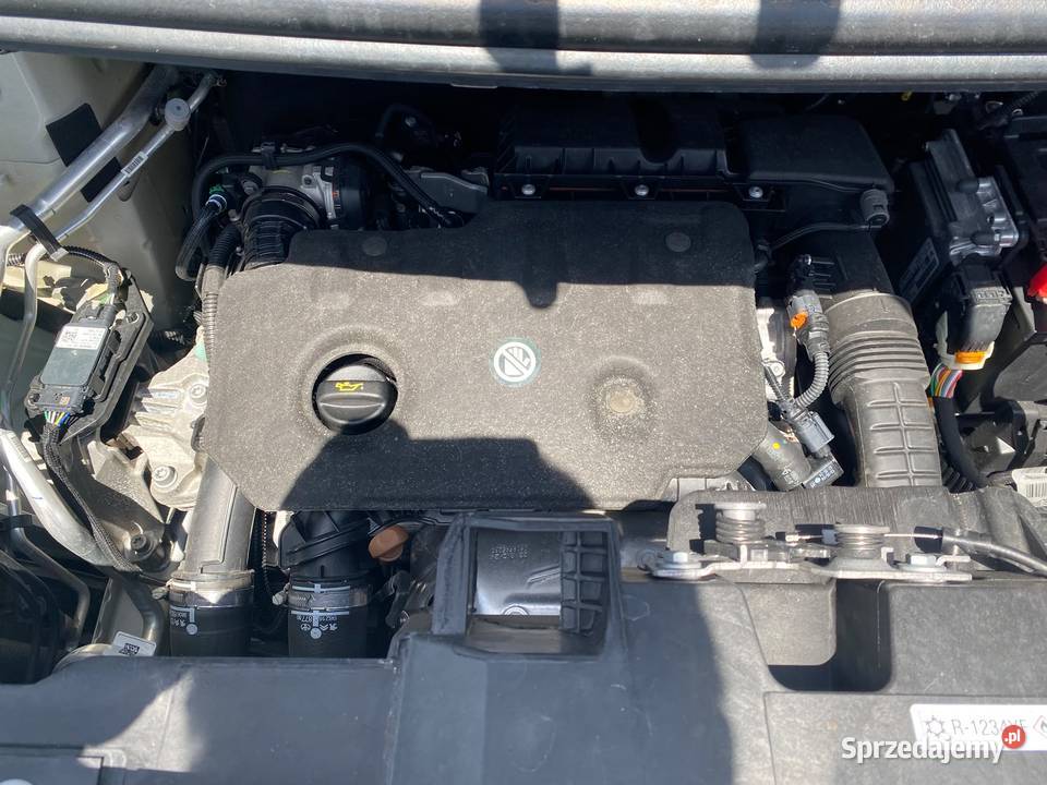 FIAT Scudo III M BLUEHDI 120 PRO LOUNGE CONNECT świętokrzyskie