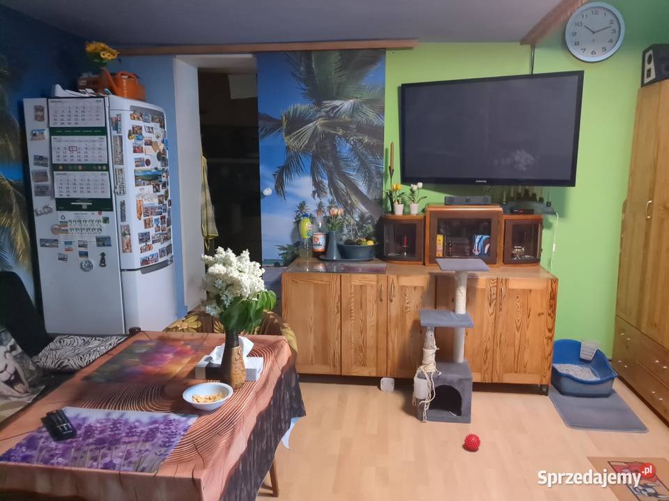 724 udziału w nieruchomości Syndyka Okuniew sprzedam