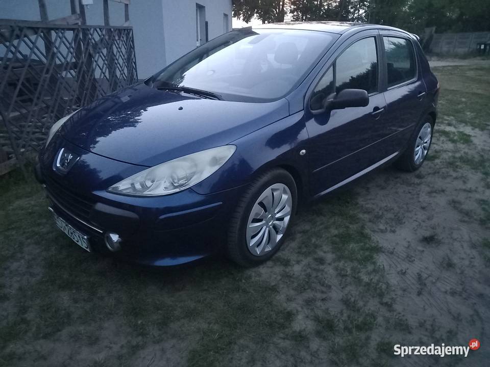 Peugeot 307 2007 manualna Sieradz