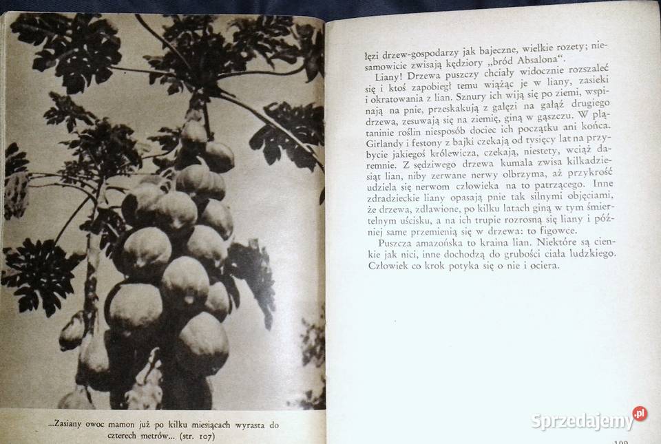 Zdobywamy Amazonkę Arkady Fiedler Chełm sprzedam