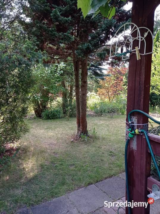 Sprzedam działkę ROD Chobot Sprzedaż Warszawa