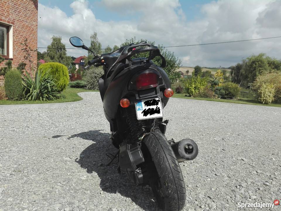 Kingway Koyot Zakrzówek