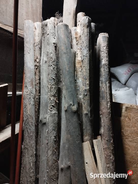 Stemple budowlane kujawsko-pomorskie Brodnica