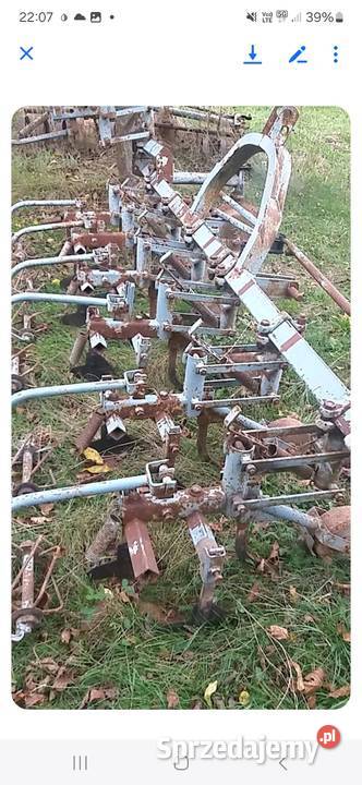 Wielorak pielnik Sarnówek Duży