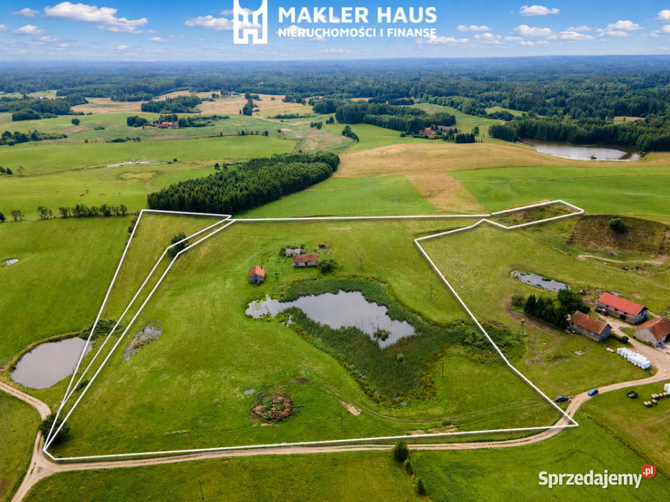 Siedlisko 4 ha ze stawem Puszcza Borecka Mazury