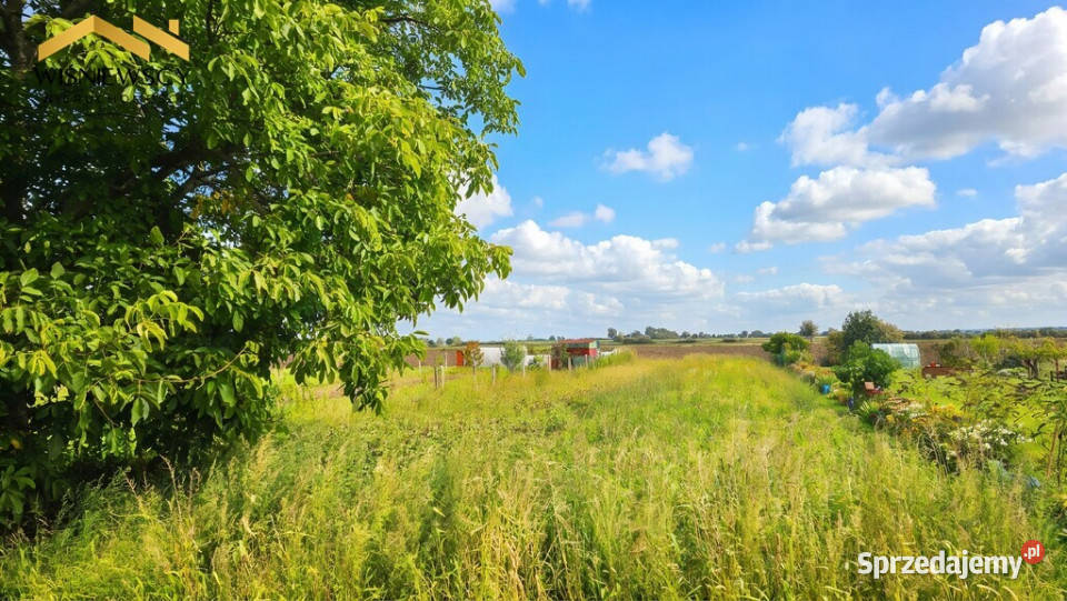 2 pokoje z dużą piwnicą Marynowy pomorskie