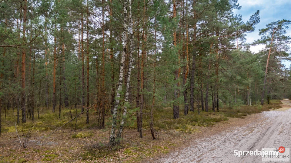 Działka 8929 metrów Majdan Kasztelański 8929m2