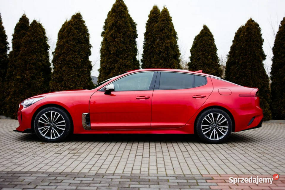 Kia Stinger 22 CRDI 200GTGTLineSalon Polska Rzekuń