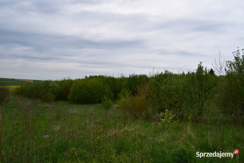 Działki 965a w Kańczudze Kańczuga