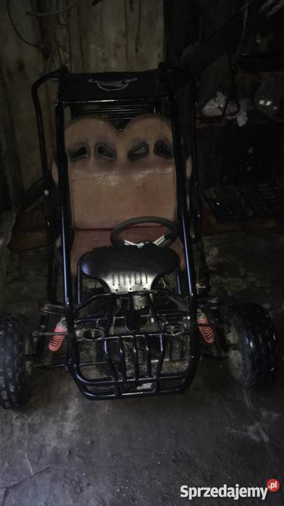 Buggy Zumico 90ccm Pasławki