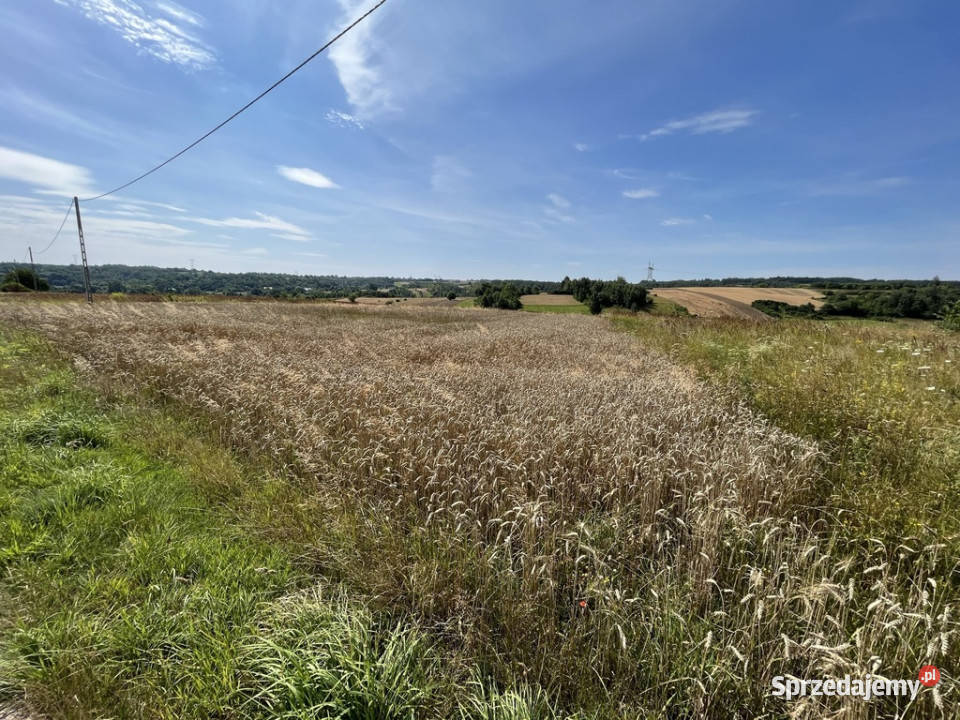 Działka rolna w przepięknej okolicy 12500m2 Jędrzejowice