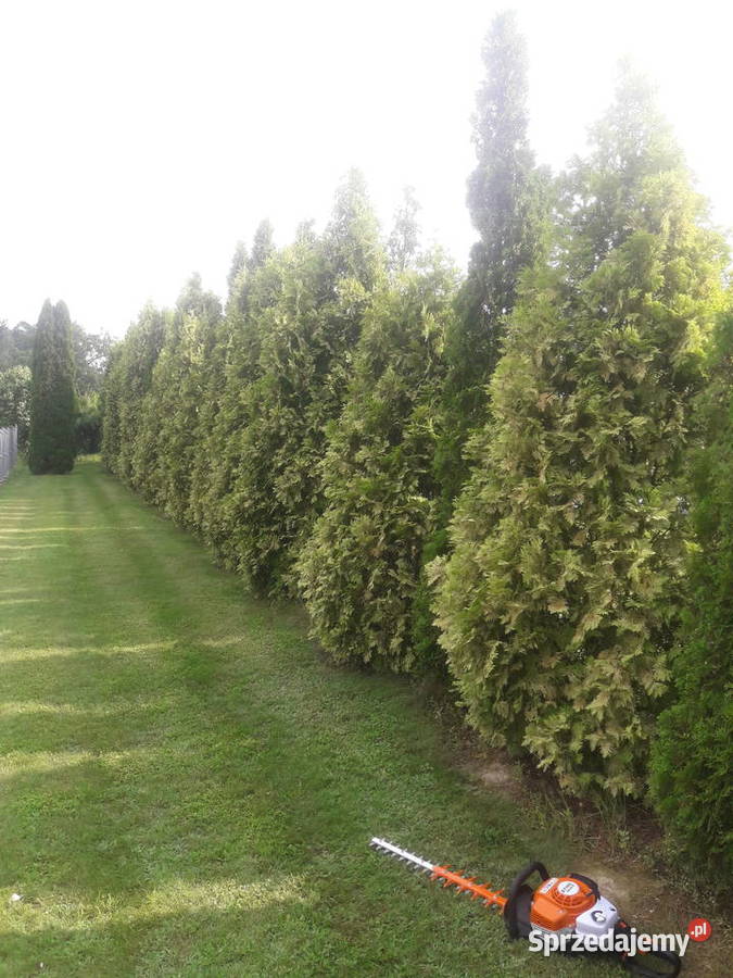 Usługi Ogrodnicze Kraśnik prace ogrodowe