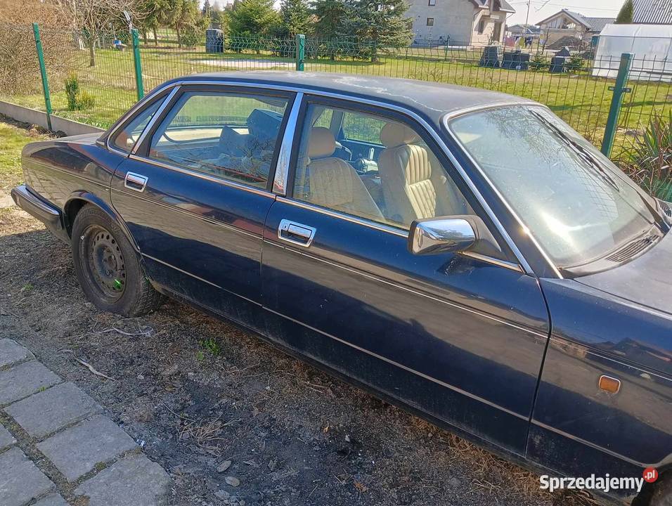 Jaguar XJ40 40 dawca organów mazowieckie Legionowo