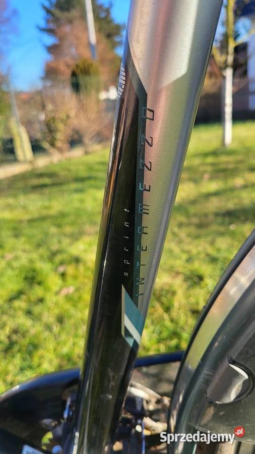 Batavus Sprint męski rower trekkingowy rama 57 Krapkowice