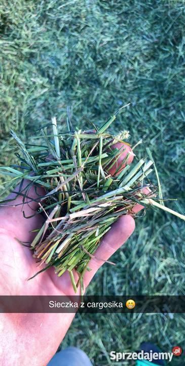 Usługa zbioru traw Nową przyczepą CLAAS CARGOS