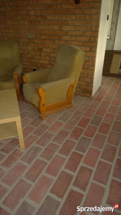 Stara cegła tarasowa Wolsztyn