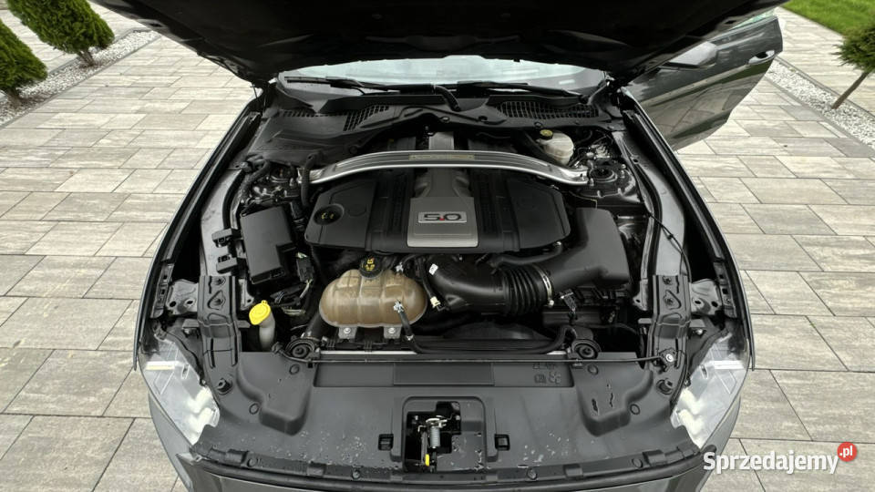 Ford Mustang 50v8 GTPremium 450 radar navi skóry Gdańsk