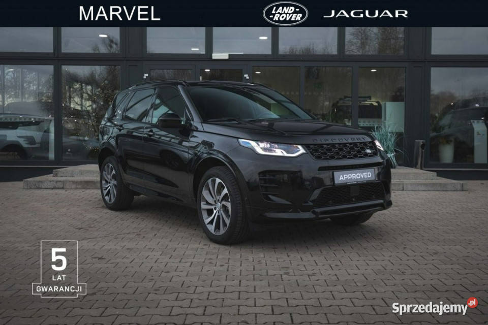 Land Rover Discovery Sport Discovery Sport 20D immobilizer Łódź