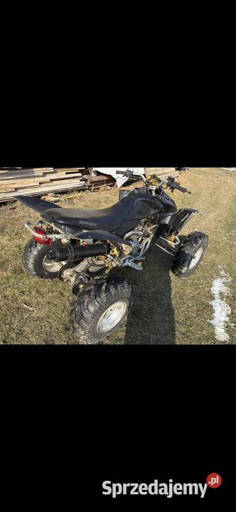 Quad duży xxl 250 bashan Access Rok produkcji 2010 Brzesko