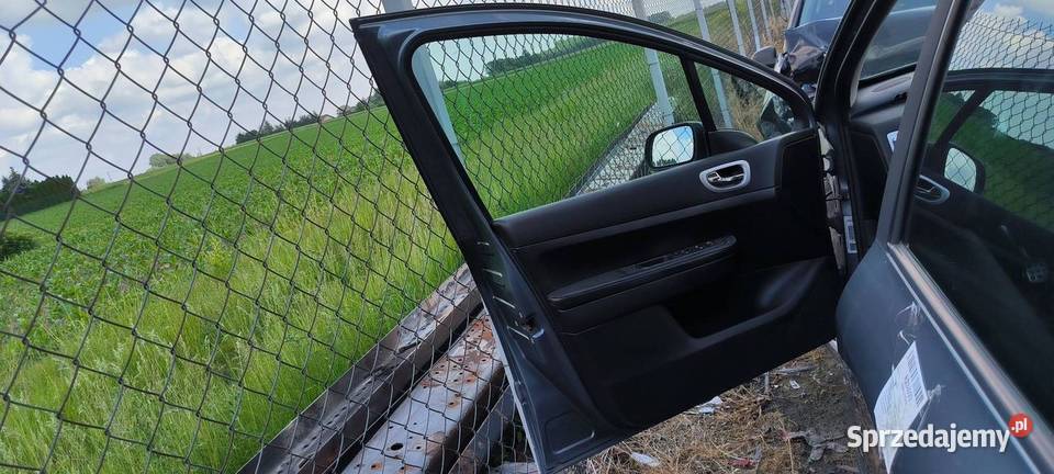 DRZWI LEWE PRZÓD PEUGEOT 307 sprzedam