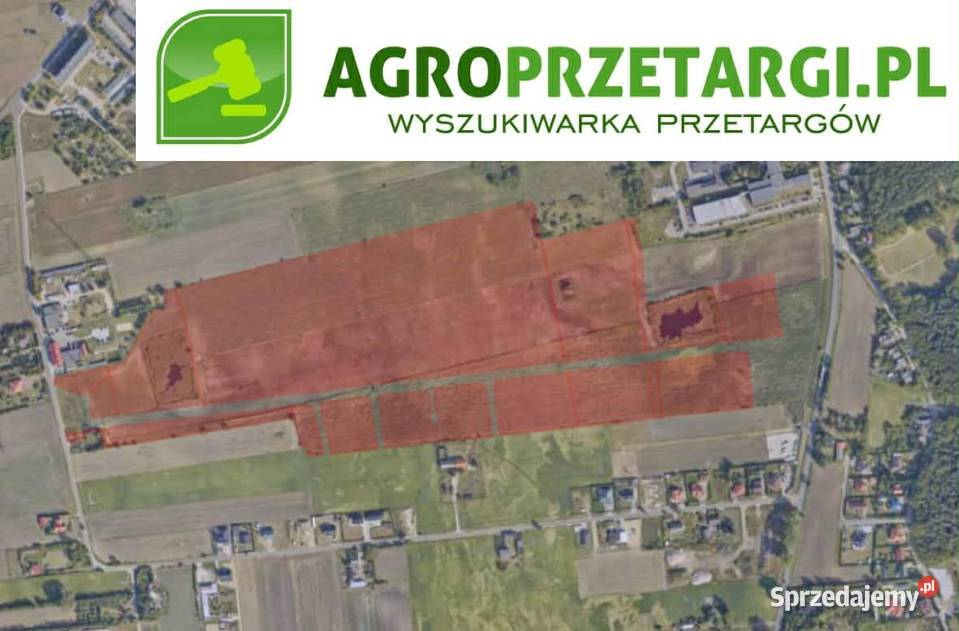 Dzierżawa 2036 ha gruntu rolnego Radziejów sprzedam