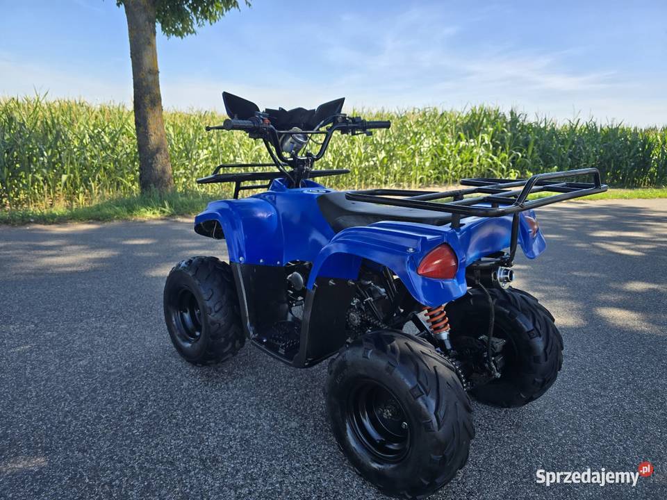 Quad Model Bmw 125cc Automat 11r Stan automatyczna Kruszwica