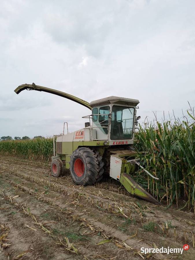 Sprzedam sieczkarnie claas jaguar 685 Samojezdne