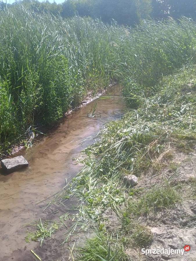 działka rekreacyjna 40m Pińczów