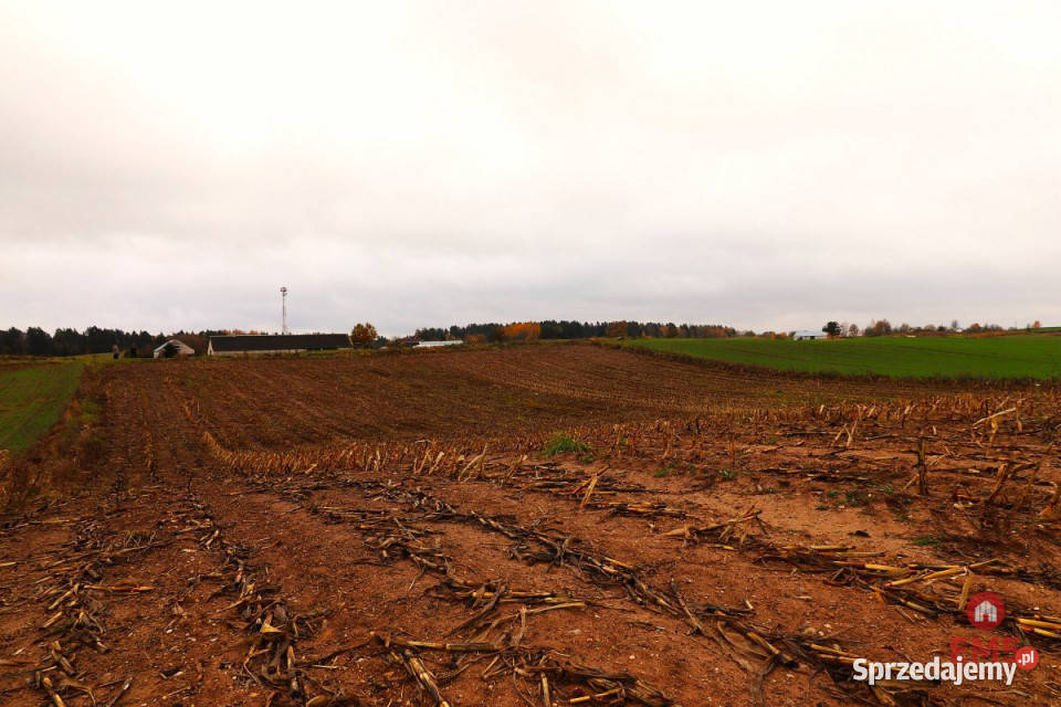 Działka 12000m2 Żegary 12000m2