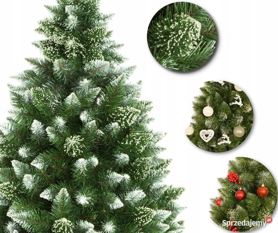 CHOINKA NA STOJAKU 180 SOSNA DIAMENTOWA PIEŃ Boże Narodzenie Kielce