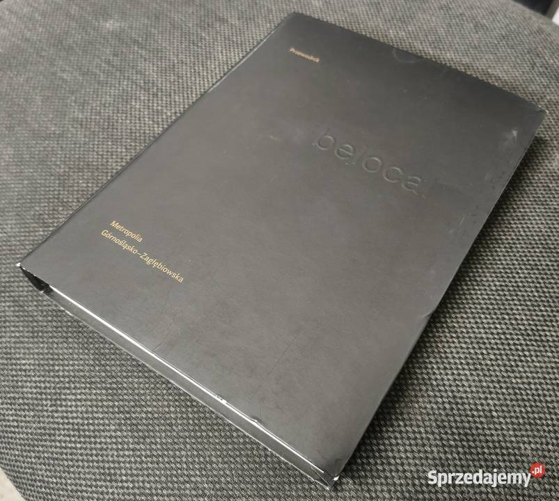 Przewodnik Metropolia Górnośląska Zagłębiowska Sosnowiec