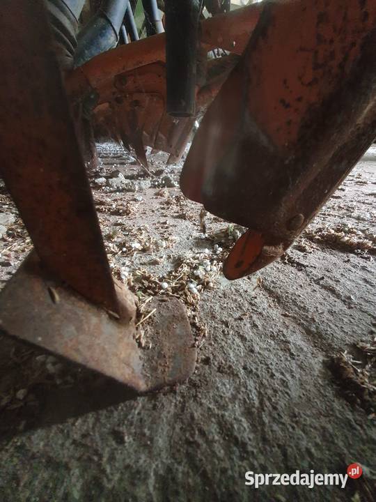 Amazone d7 typ 33 Skarszewy sprzedam