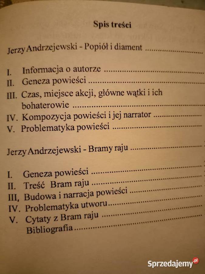 Popiół i diament Bramy raju analiz literatury Warszawa