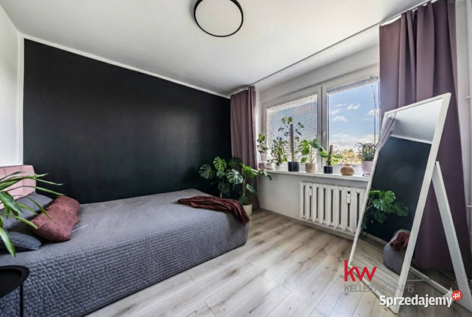 sprzedaży mieszkania 648m2 3 pokoje Poznań Nieruchomości