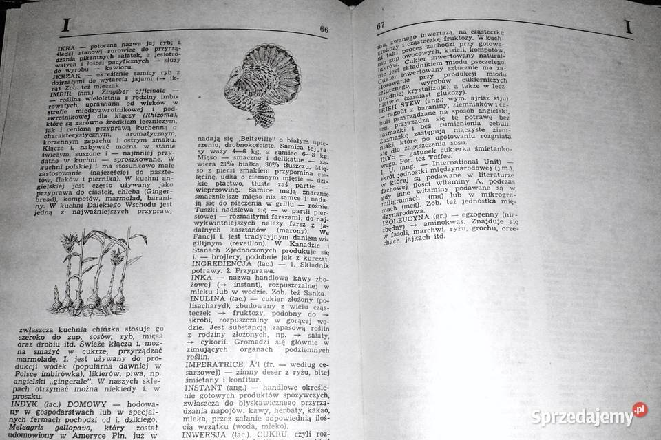 Leksykon sztuki kulinarnej Maciej E Halbański twarda z obwolutą Chełm