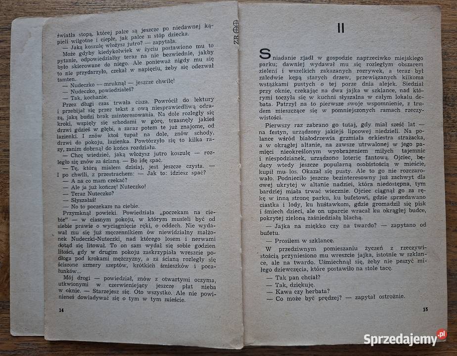 Powrót do miejsc nieobecnych St Fleszarowa Proza i poezja