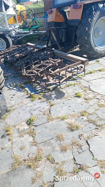 Brona brony zebowe nieuszkodzony Tczewskie Łąki