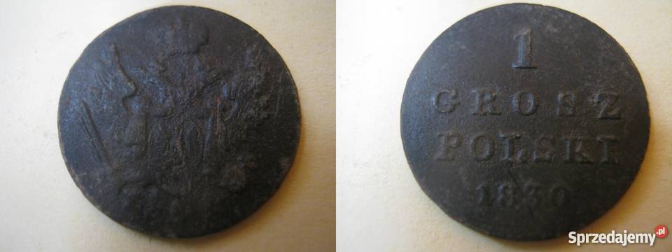 1 Grosz Polski 1830r małopolskie Kraków