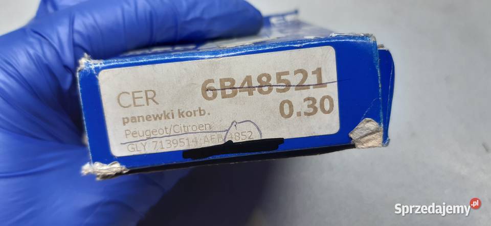 PANEWKI CITROEN JUMPER PEUGEOT BOXER 25 TDI Mielęcin