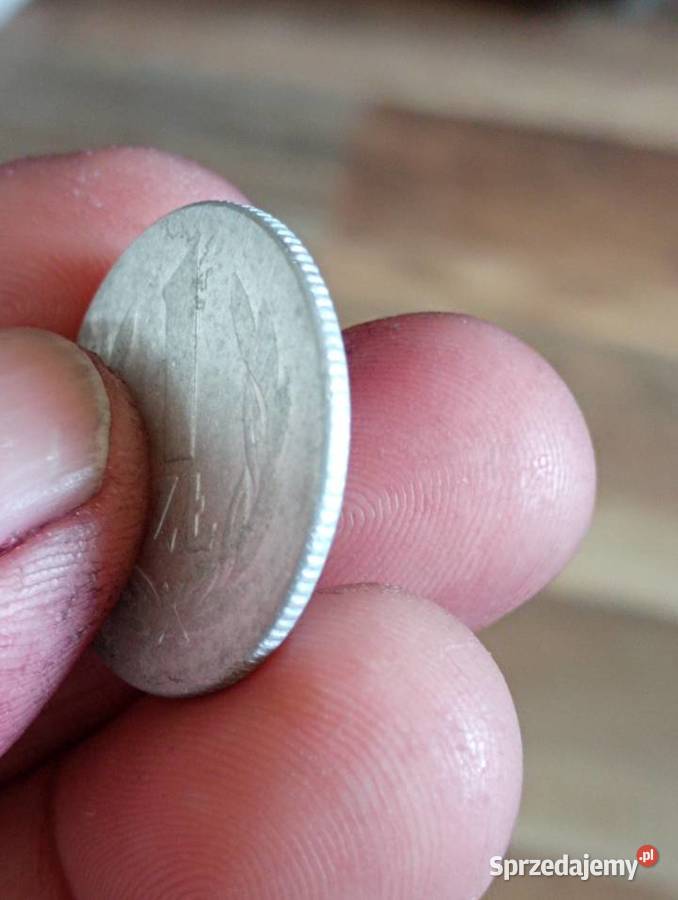 Sprzedam monete 1 zloty 1965r Chełm