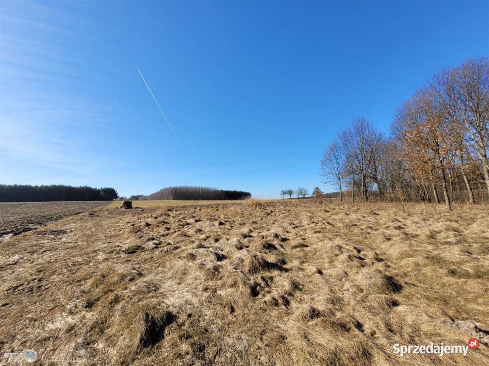 Dom wolnostojący 60m2 Nagłowice Rok budowy 2000 świętokrzyskie