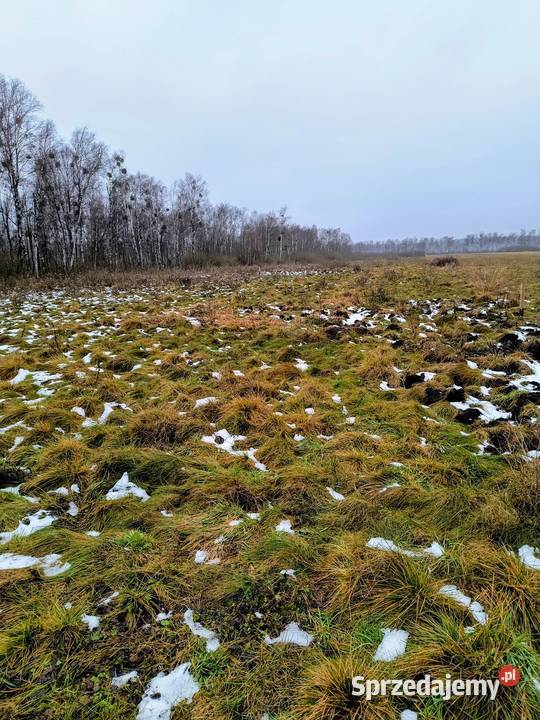 Działka rekreacyjna 3004 m2 w Karwiku Karwik