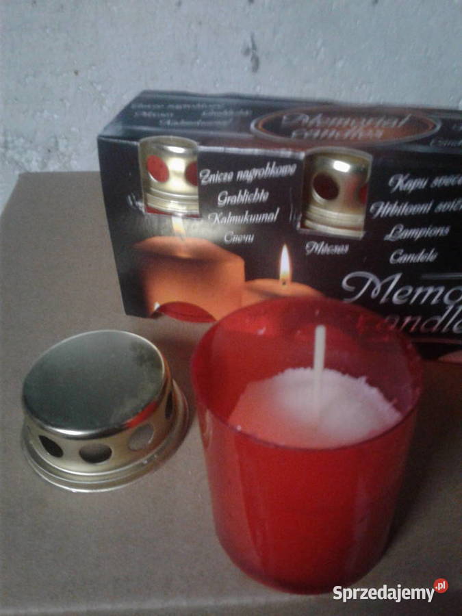 znicz mały Bydgoszcz